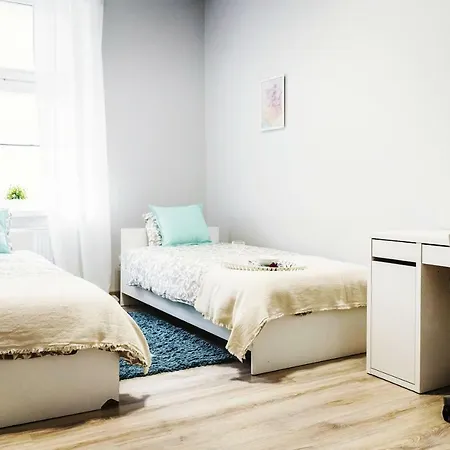 Fioletowy Krakowskie Przedmiescie 26 *