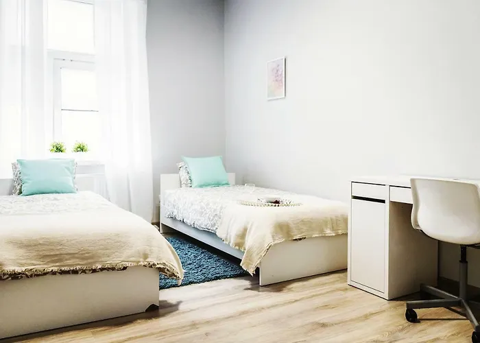 Fioletowy Krakowskie Przedmiescie 26 *